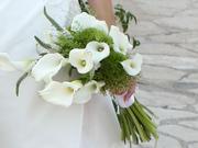 Baby Calla Over the Arm bridal bouquet